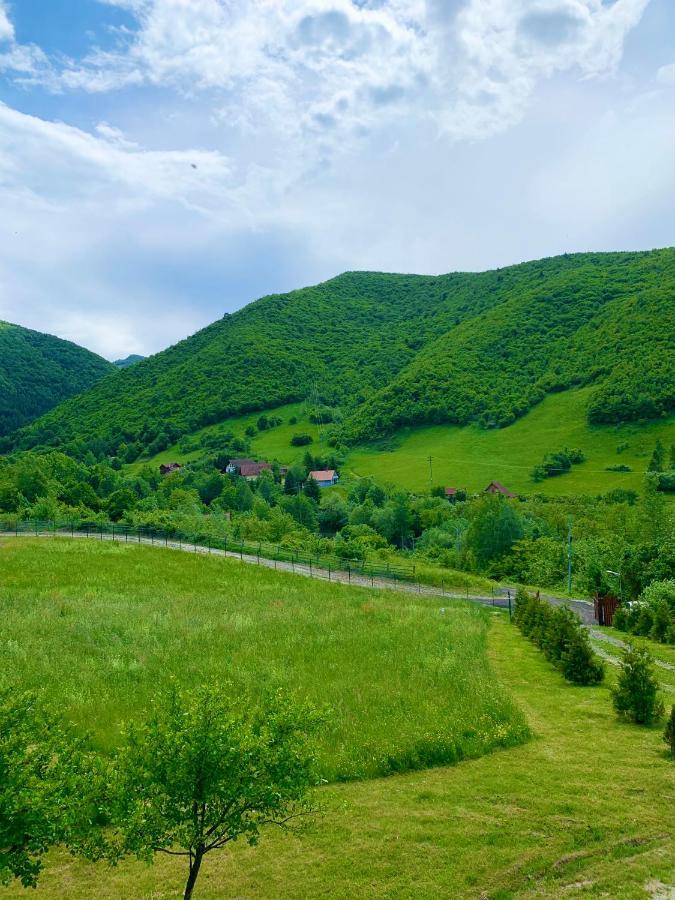 Rustic Cottage Sibiu Exterior foto